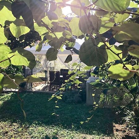 Garden Cozy Apartment Zadar Luaran gambar
