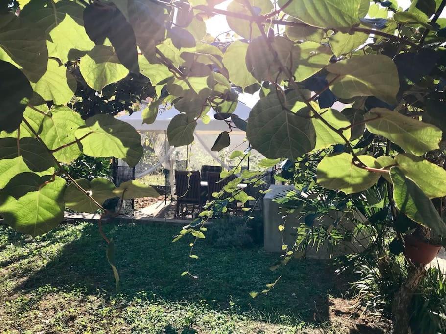 Garden Cozy Apartment Zadar Luaran gambar